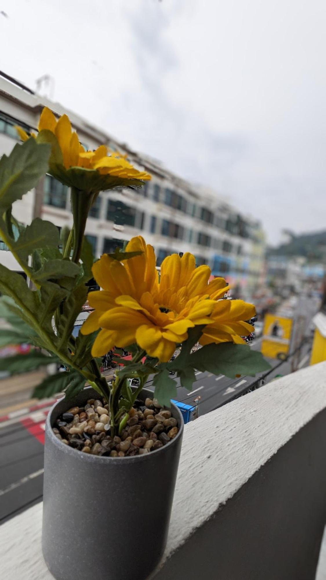 Heaven House Restro & Bar 호텔 Patong 외부 사진